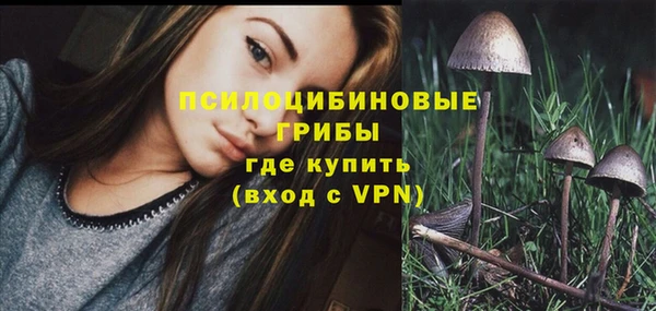 МДПВ Абинск