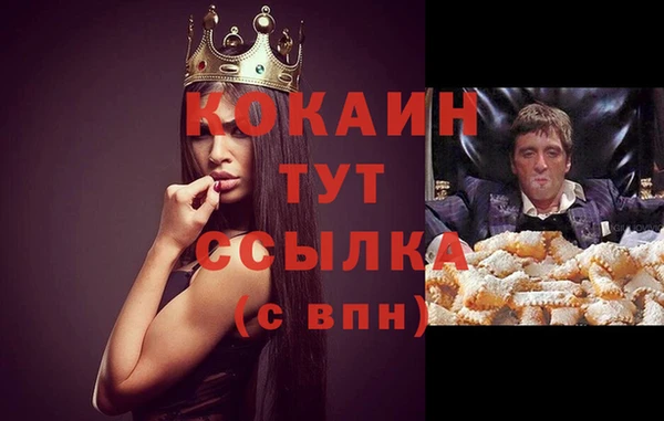 МДПВ Абинск