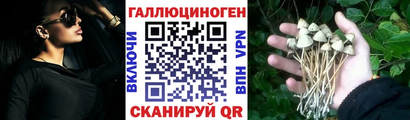 мега рабочий сайт цены наркотик Челябинск Псилоцибиновые грибы Psilocybine cubensis