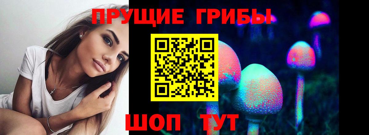 Галлюциногенные грибы прущие грибы Челябинск